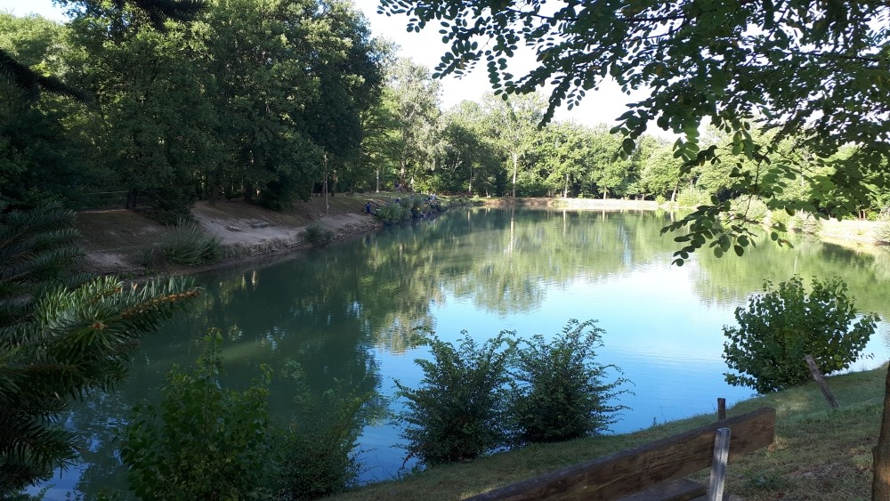 lago Ristorante La Capannina sul lago