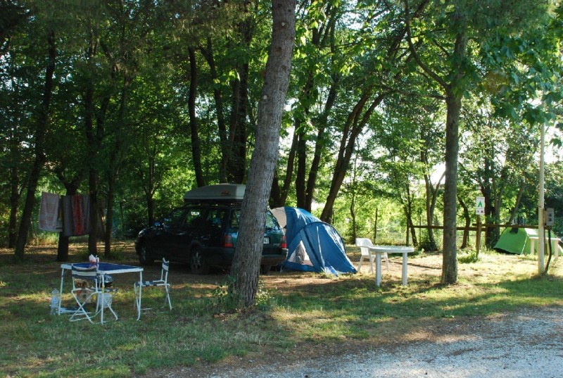 Camping TORRE PENDENTE Camping Village